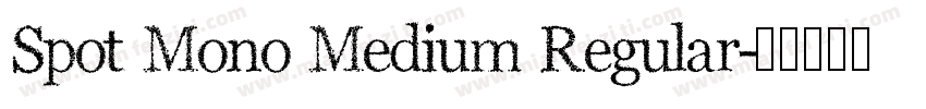Spot Mono Medium Regular字体转换